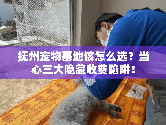 抚州宠物墓地该怎么选？当心三大隐藏收费陷阱！