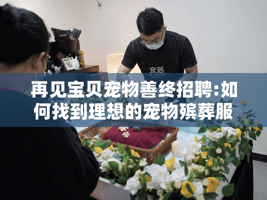 再见宝贝宠物善终招聘:如何找到理想的宠物殡葬服务岗位机会？