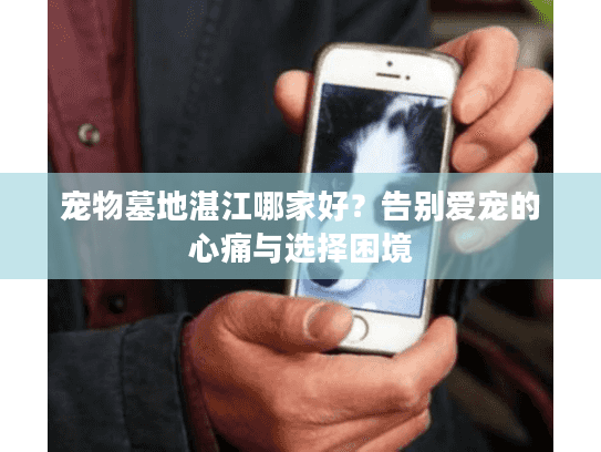 宠物墓地湛江哪家好？告别爱宠的心痛与选择困境