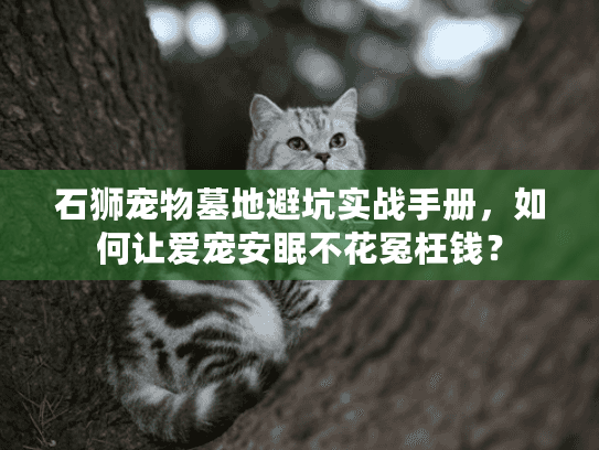 石狮宠物墓地避坑实战手册，如何让爱宠安眠不花冤枉钱？