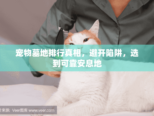 宠物墓地排行真相,避开陷阱,选到可靠安息地 宠物墓地排行真相,避开陷阱,选到可靠安息地