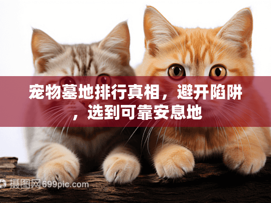 宠物墓地排行真相,避开陷阱,选到可靠安息地 宠物墓地排行真相,避开陷阱,选到可靠安息地