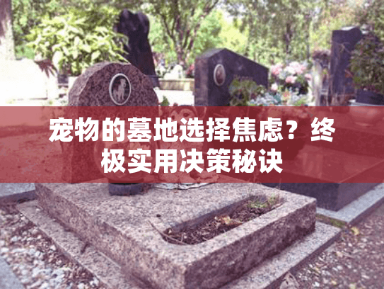 宠物的墓地选择焦虑？终极实用决策秘诀