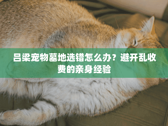 吕梁宠物墓地选错怎么办？避开乱收费的亲身经验