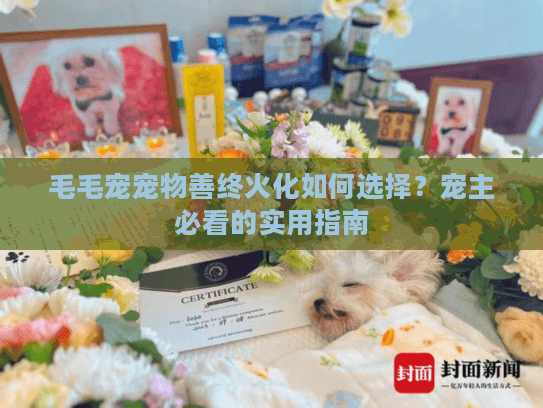 毛毛宠宠物善终火化如何选择？宠主必看的实用指南
