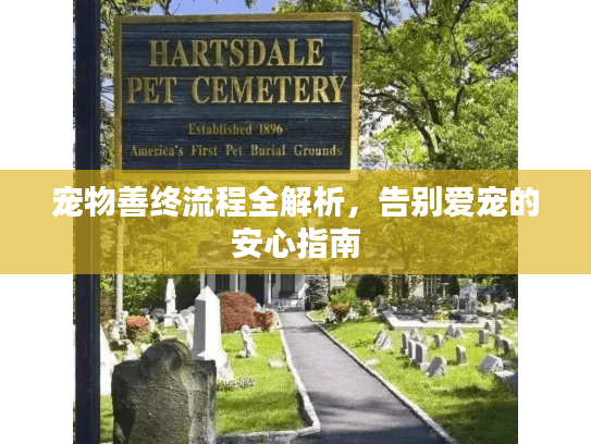 宠物善终流程全解析，告别爱宠的安心指南