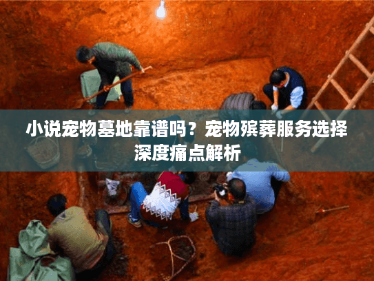 小说宠物墓地靠谱吗？宠物殡葬服务选择深度痛点解析