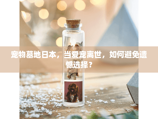 宠物墓地日本，当爱宠离世，如何避免遗憾选择？