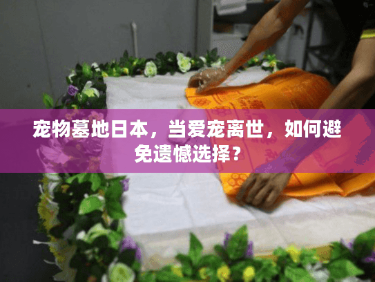 宠物墓地日本，当爱宠离世，如何避免遗憾选择？