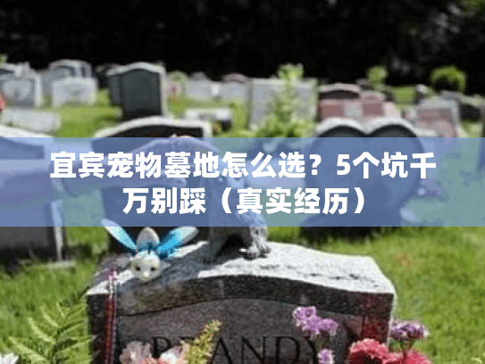 宜宾宠物墓地怎么选?5个坑千万别踩(真实经历) 宜宾宠物墓地怎么选?5个坑千万别踩(真实经历)