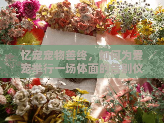 忆宠宠物善终，如何为爱宠举行一场体面的告别仪式？