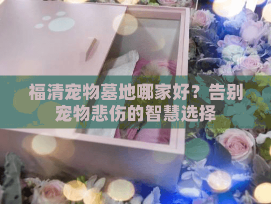福清宠物墓地哪家好？告别宠物悲伤的智慧选择