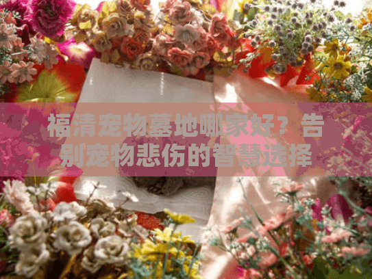 福清宠物墓地哪家好？告别宠物悲伤的智慧选择