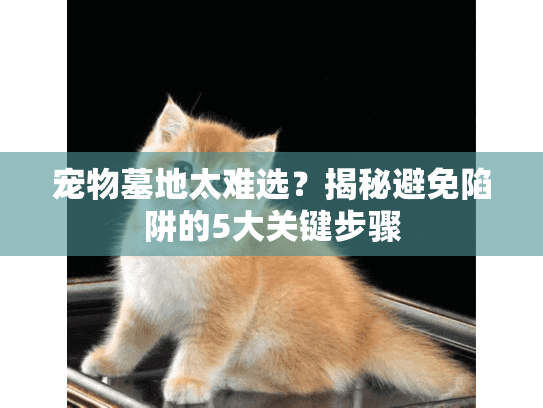 宠物墓地太难选？揭秘避免陷阱的5大关键步骤