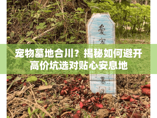 宠物墓地合川？揭秘如何避开高价坑选对贴心安息地