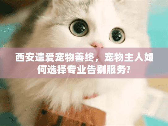 西安遗爱宠物善终，宠物主人如何选择专业告别服务?