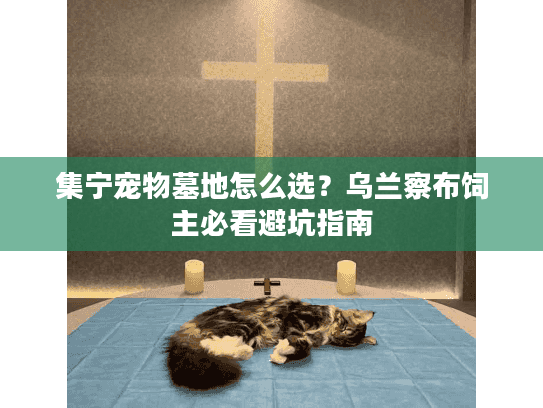 集宁宠物墓地怎么选？乌兰察布饲主必看避坑指南