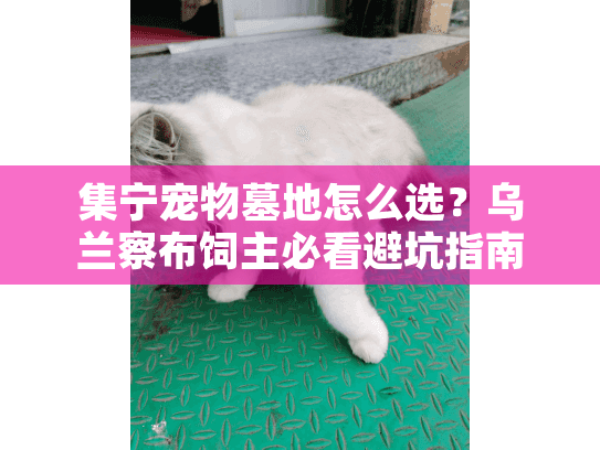 集宁宠物墓地怎么选？乌兰察布饲主必看避坑指南