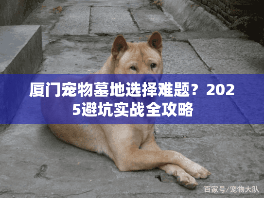 厦门宠物墓地选择难题？2025避坑实战全攻略