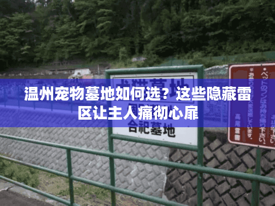 温州宠物墓地如何选？这些隐藏雷区让主人痛彻心扉
