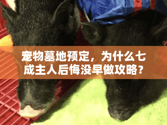 宠物墓地预定，为什么七成主人后悔没早做攻略？
