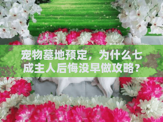 宠物墓地预定，为什么七成主人后悔没早做攻略？