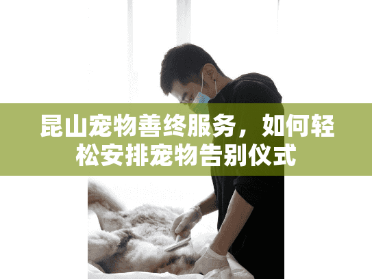 昆山宠物善终服务，如何轻松安排宠物告别仪式