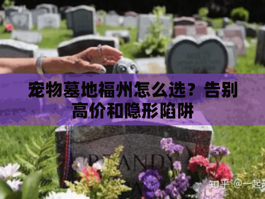 宠物墓地福州怎么选？告别高价和隐形陷阱