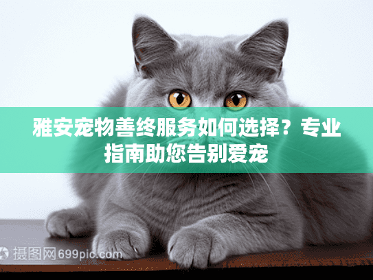 雅安宠物善终服务如何选择？专业指南助您告别爱宠