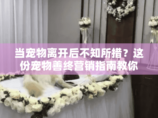 当宠物离开后不知所措？这份宠物善终营销指南教你如何专业告别