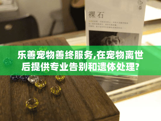 乐善宠物善终服务,在宠物离世后提供专业告别和遗体处理?