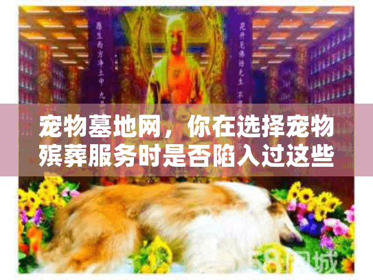 宠物墓地网，你在选择宠物殡葬服务时是否陷入过这些隐形陷阱？