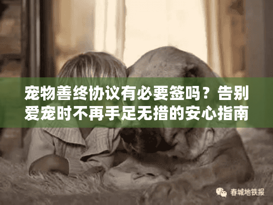 宠物善终协议有必要签吗？告别爱宠时不再手足无措的安心指南
