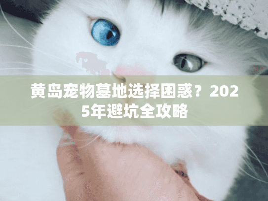 黄岛宠物墓地选择困惑？2025年避坑全攻略