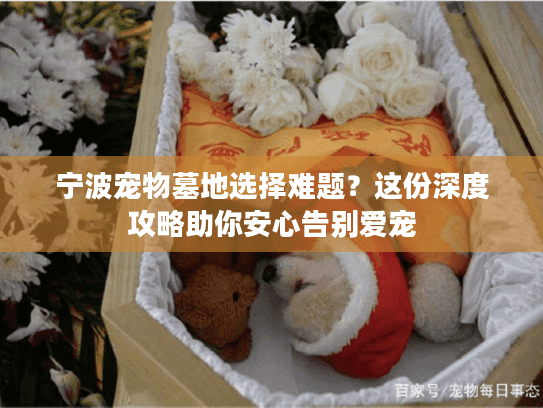 宁波宠物墓地选择难题？这份深度攻略助你安心告别爱宠