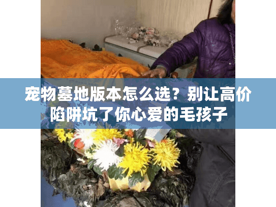宠物墓地版本怎么选？别让高价陷阱坑了你心爱的毛孩子