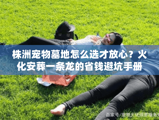 株洲宠物墓地怎么选才放心？火化安葬一条龙的省钱避坑手册