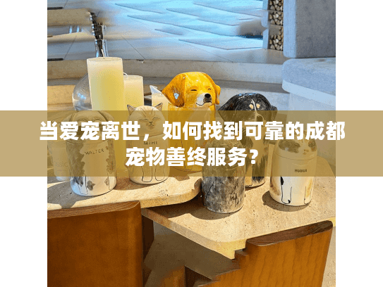 当爱宠离世，如何找到可靠的成都宠物善终服务？
