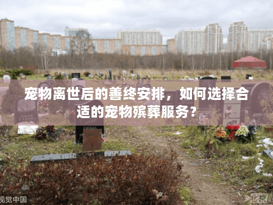 宠物离世后的善终安排，如何选择合适的宠物殡葬服务？