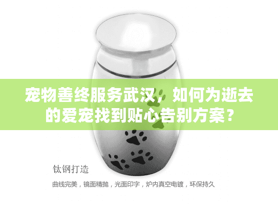 宠物善终服务武汉，如何为逝去的爱宠找到贴心告别方案？