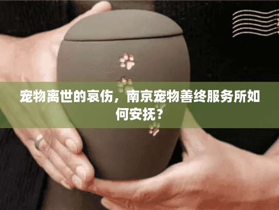 宠物离世的哀伤，南京宠物善终服务所如何安抚？