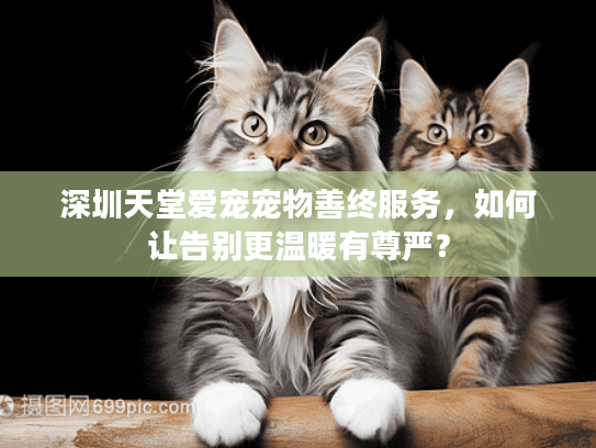 深圳天堂爱宠宠物善终服务，如何让告别更温暖有尊严？