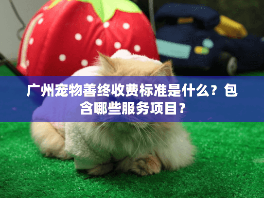 广州宠物善终收费标准是什么？包含哪些服务项目？