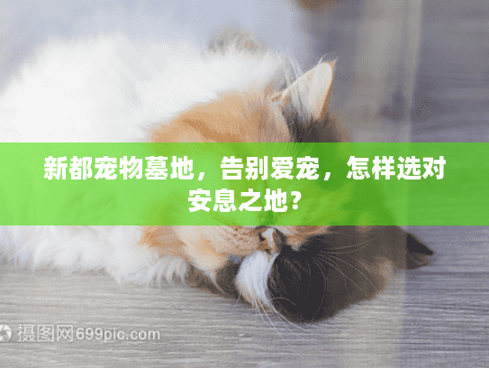 新都宠物墓地，告别爱宠，怎样选对安息之地？