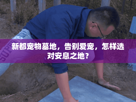 新都宠物墓地，告别爱宠，怎样选对安息之地？