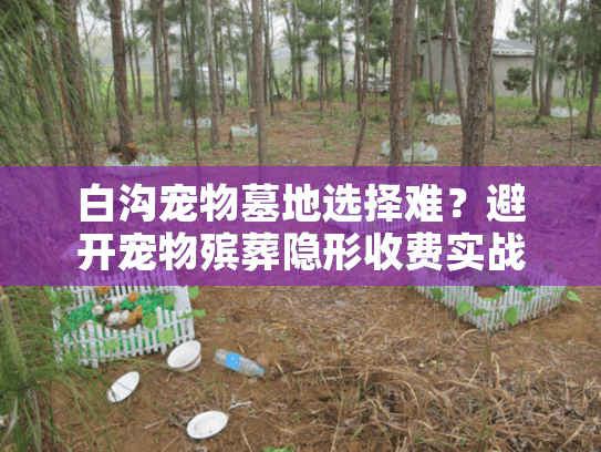白沟宠物墓地选择难？避开宠物殡葬隐形收费实战策略