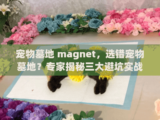 宠物墓地 magnet，选错宠物墓地？专家揭秘三大避坑实战步骤