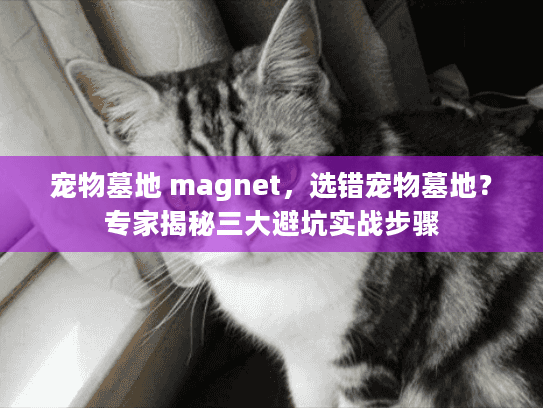 宠物墓地 magnet，选错宠物墓地？专家揭秘三大避坑实战步骤