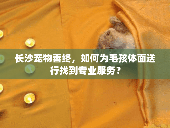 长沙宠物善终，如何为毛孩体面送行找到专业服务？