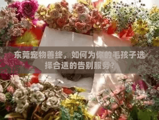 东莞宠物善终，如何为你的毛孩子选择合适的告别服务？